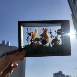 中空框/立體相框